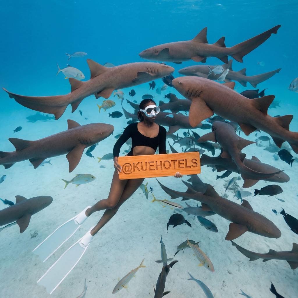 Snorkeling Trip